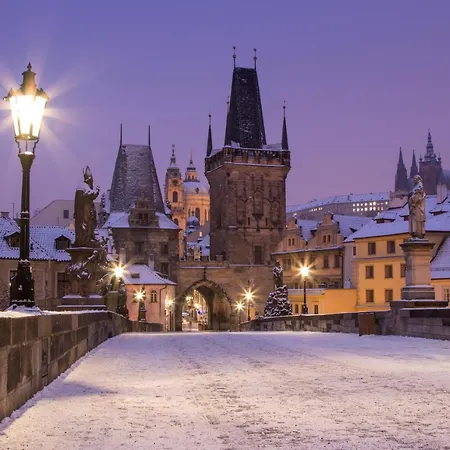 The Spot *